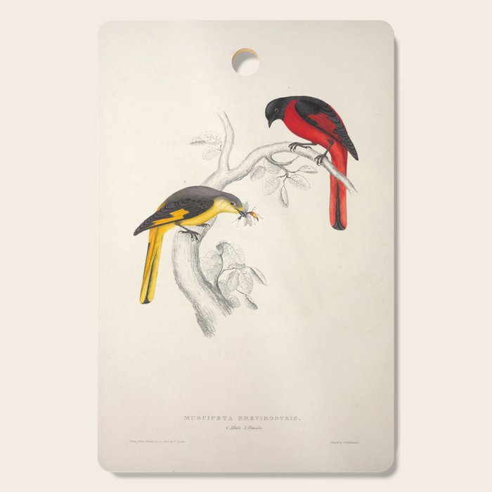 Short-billed minivet by Elizabeth Gould from "A Century of Birds from the Himalaya Mountains," 1831 Cutting Board Gallery Image 1