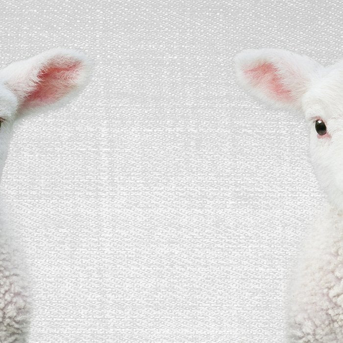 Lamb - Colorful Coffee Mug Gallery Image 2