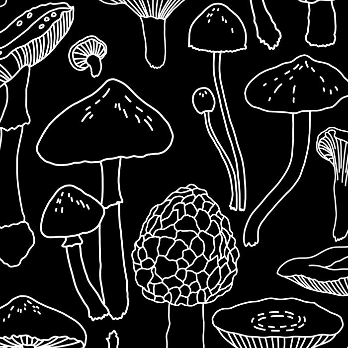 Marcella Mushrooms Coffee Mug Gallery Image 2