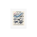 CETACEANS POSTER beige and text Art Print Gallery Image 1