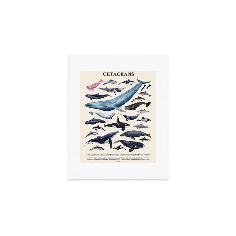 CETACEANS POSTER beige and text Art Print Gallery Image 1