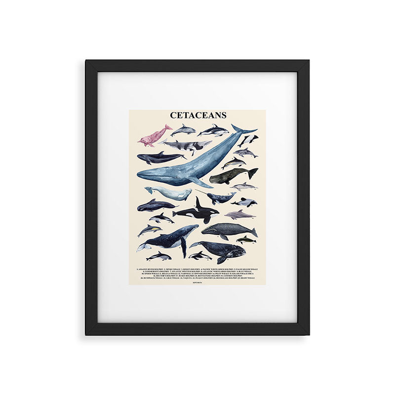 CETACEANS POSTER beige and text Framed Art Print Gallery Image 5