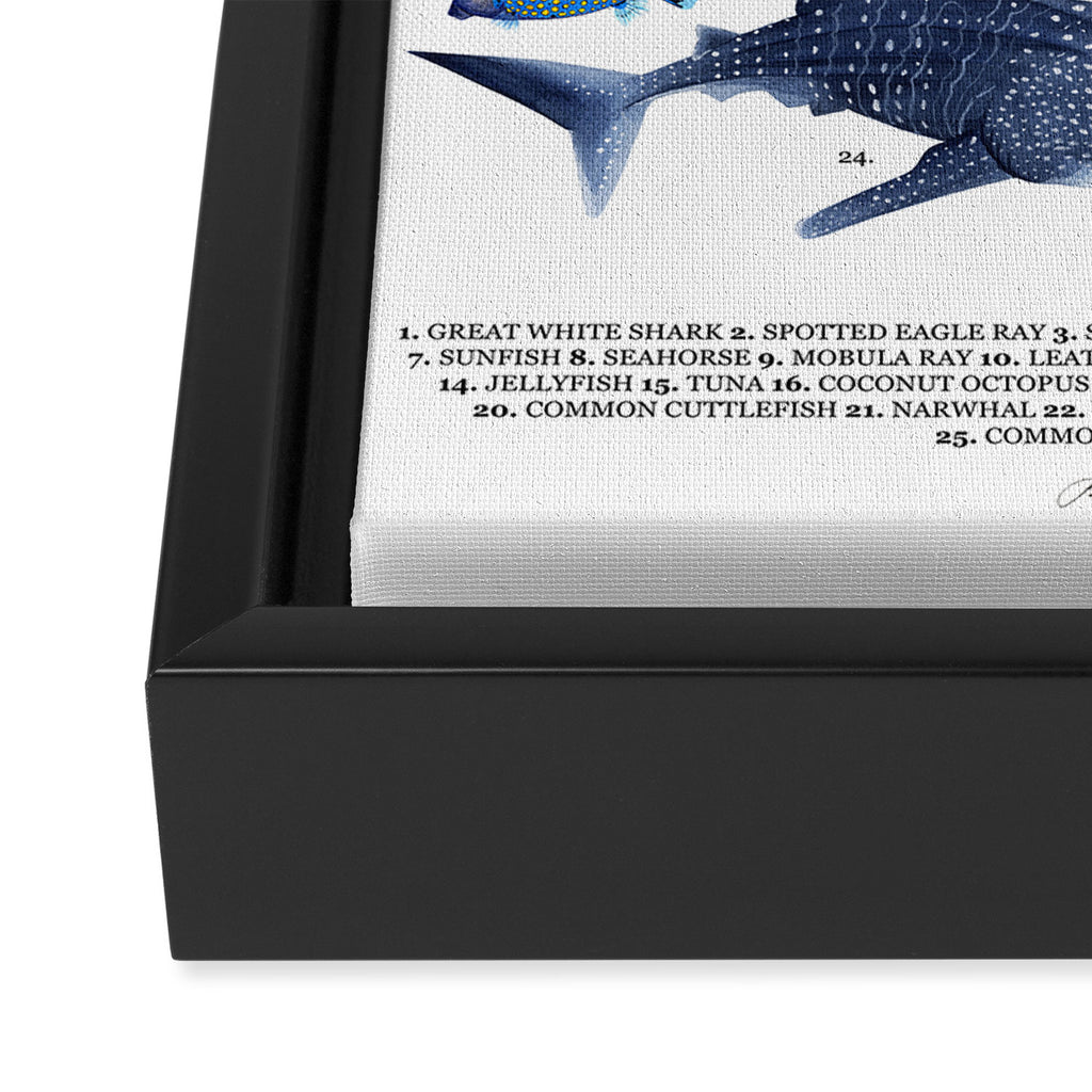 SEA CREATURES poster with names Framed Canvas Print Gallery Image 3