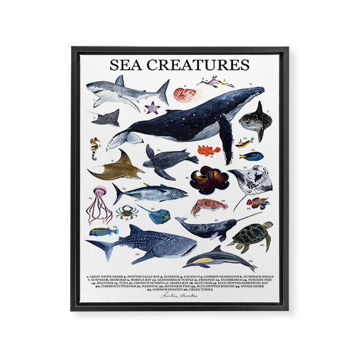 SEA CREATURES poster with names Framed Canvas Print Gallery Image 1