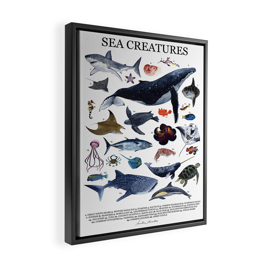 SEA CREATURES poster with names Framed Canvas Print Gallery Image 2