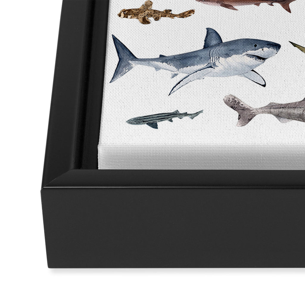 SHARKS poster-white Framed Canvas Print Gallery Image 3