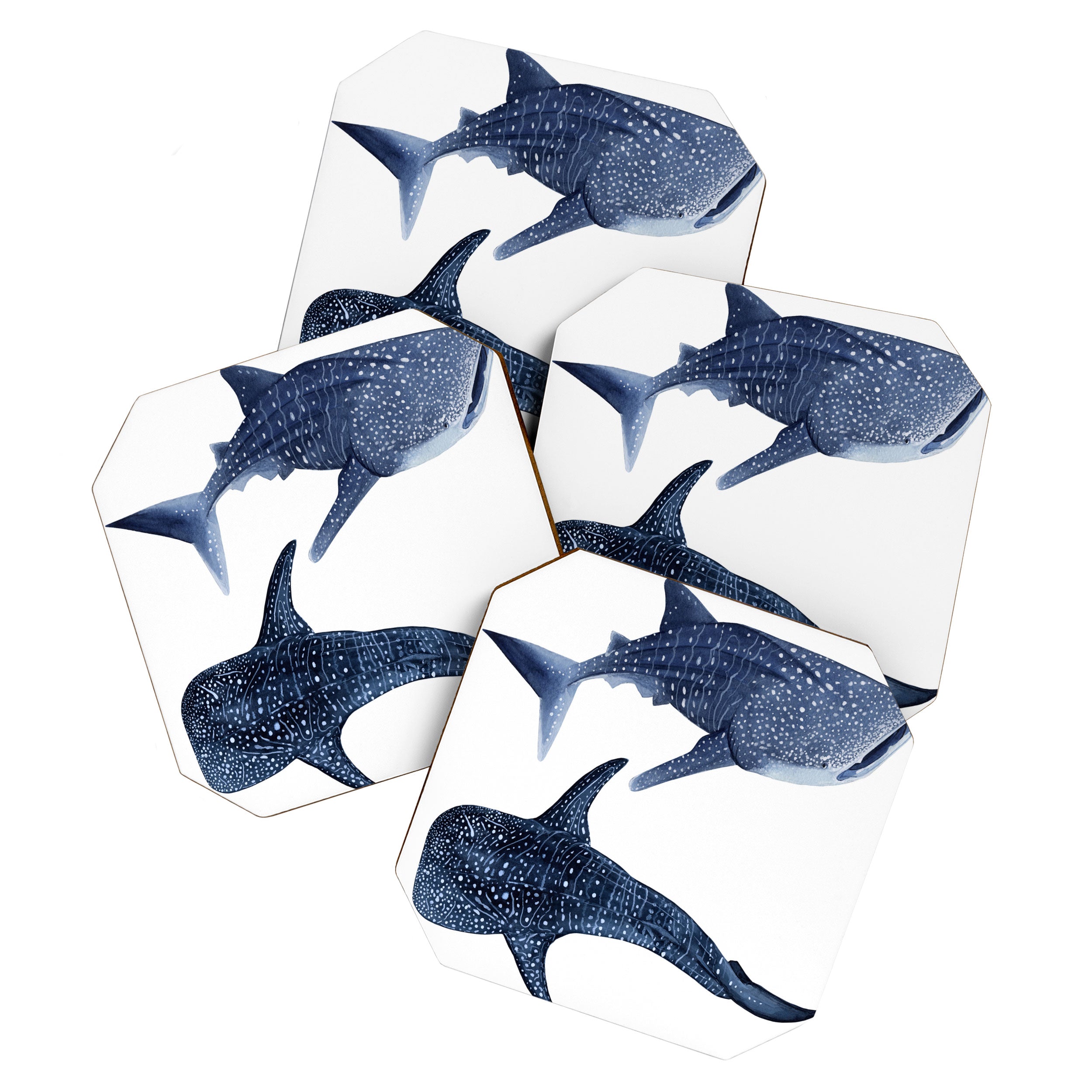 TWO WHALE SHARK Coaster Gallery Image 1