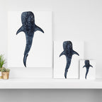 WHALE SHARK II Canvas Print Gallery Image 3