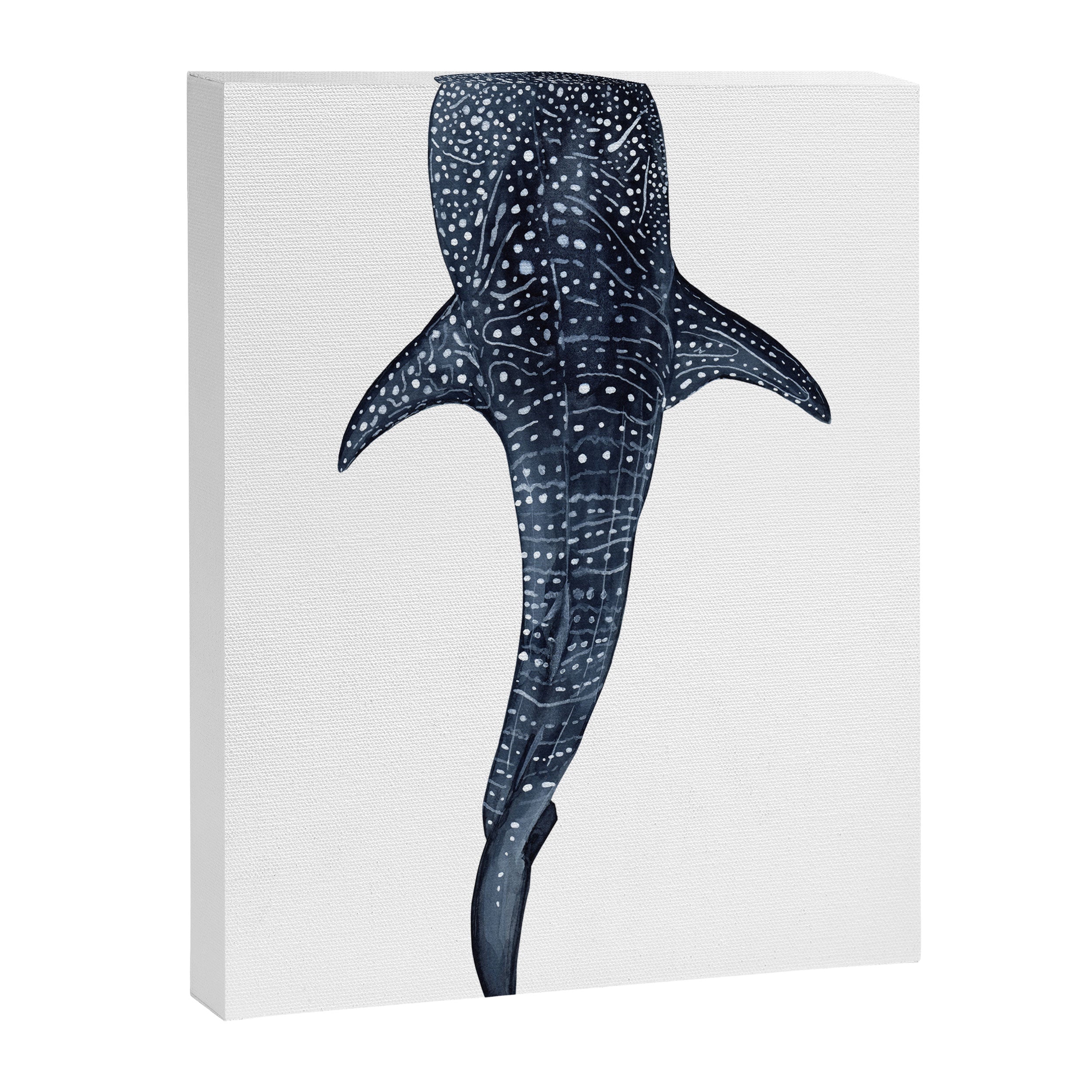WHALE SHARK II Canvas Print Gallery Image 3