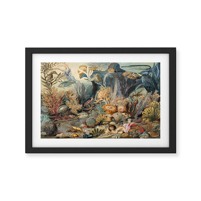 Ocean Life by James M Sommerville 1859 Funky Quirky Cute Cozy Boho Maximalism Maximalist Framed Art Print Gallery Image 1