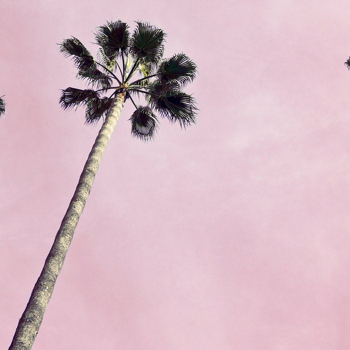 Pink Palms Coffee Mug Gallery Image 2