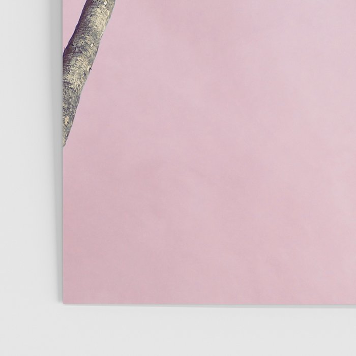 Pink Palms Poster Gallery Image 3