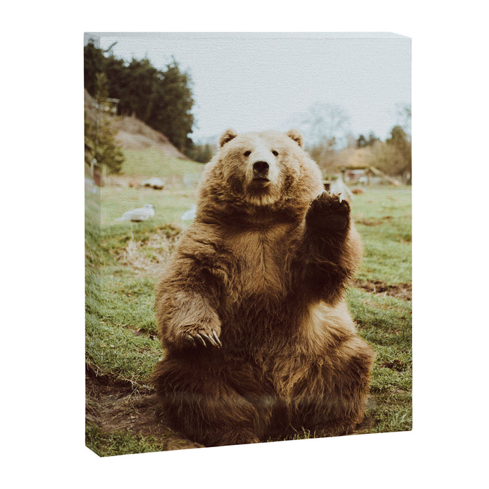 Hi Bear Canvas Print Gallery Image 1