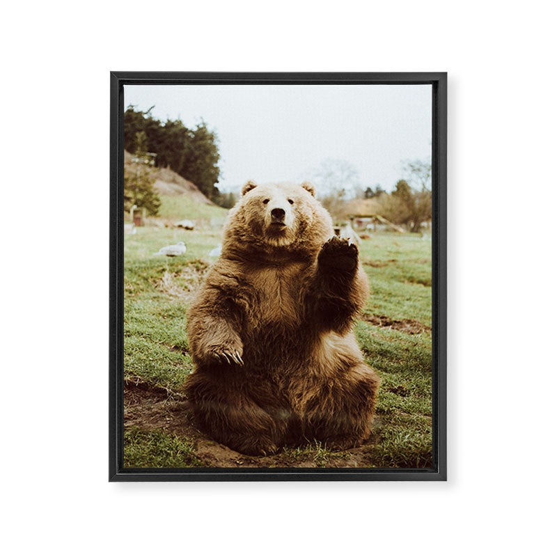 Hi Bear Framed Canvas Print