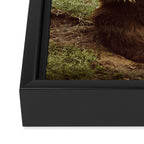 Hi Bear Framed Canvas Print Gallery Image 3