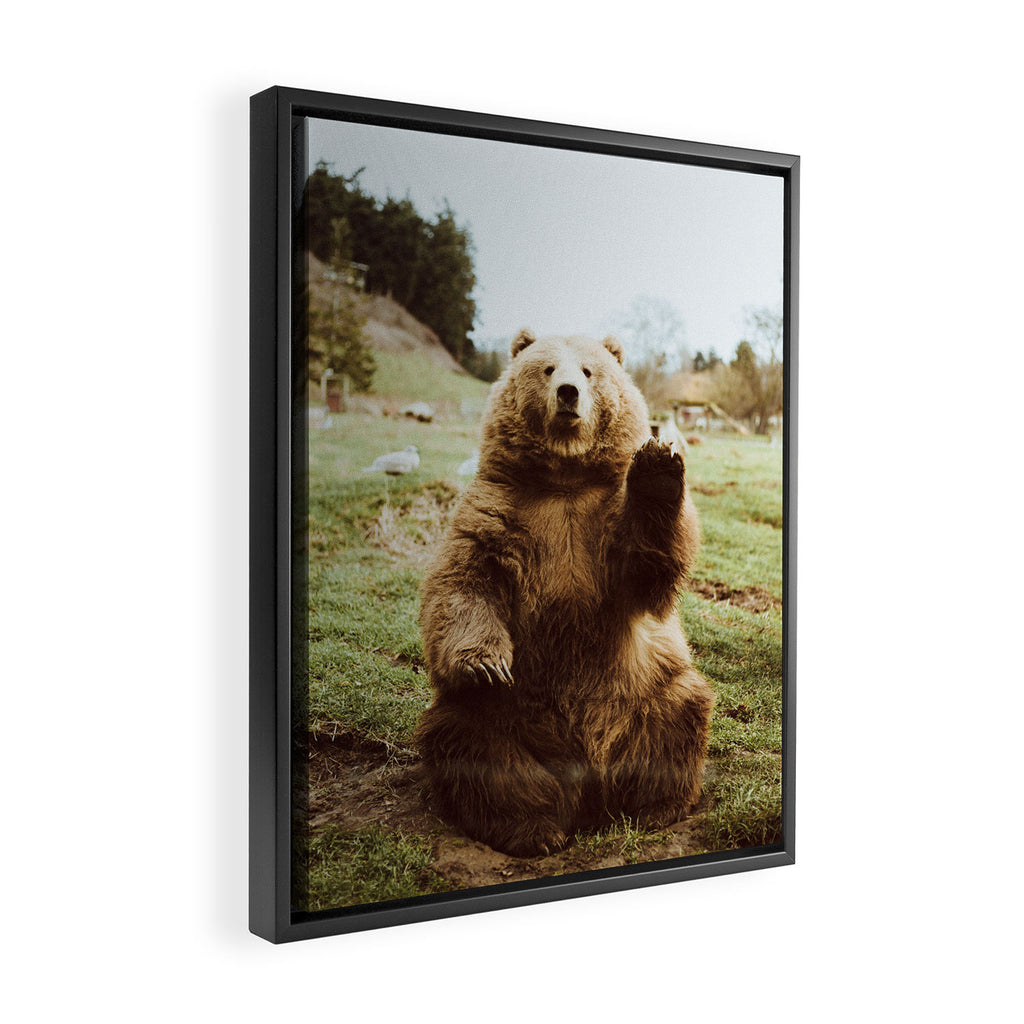 Hi Bear Framed Canvas Print Gallery Image 2