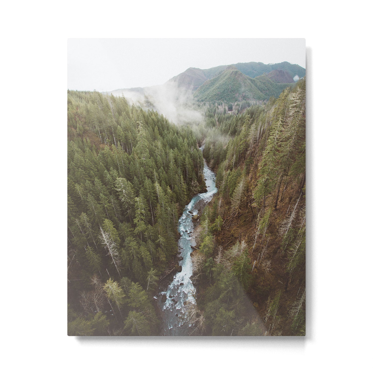 Vance Creek Metal Print Gallery Image 4