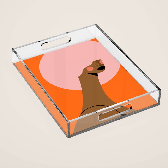 Pink Power Acrylic Tray Gallery Image 1