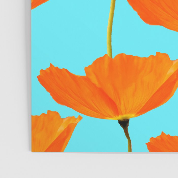 Poppies On A Turquoise Background #decor #society6 #buyart Poster Gallery Image 3