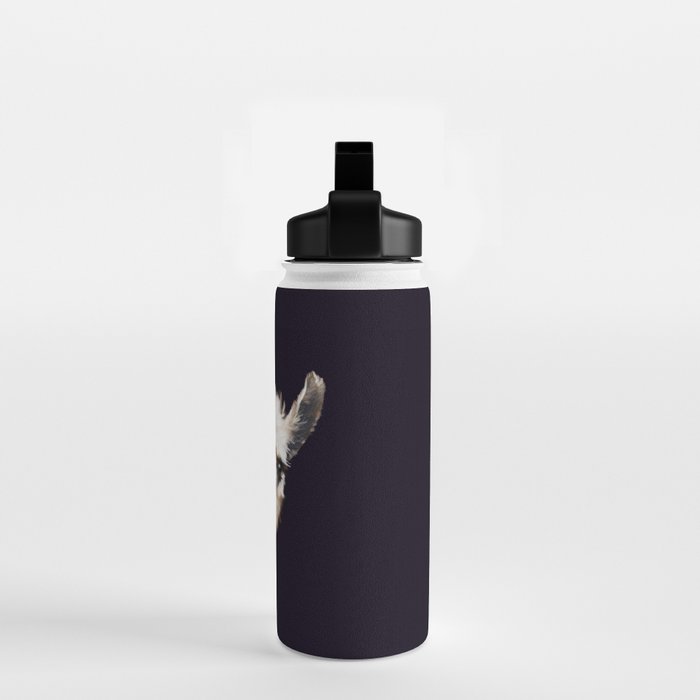 Sneaky Llama in Black Water Bottle Gallery Image 2