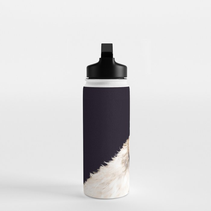 Sneaky Llama in Black Water Bottle Gallery Image 3