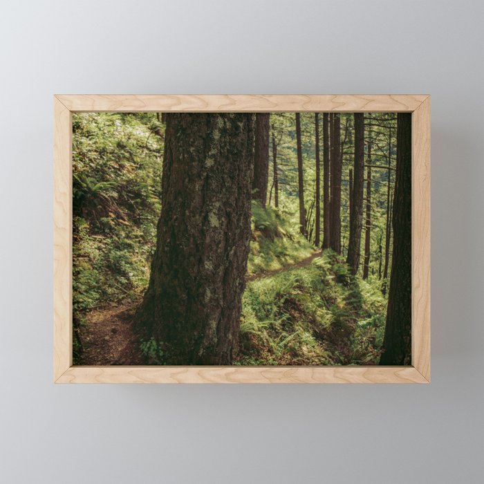Side Trail II Mini Art Print Gallery Image 1