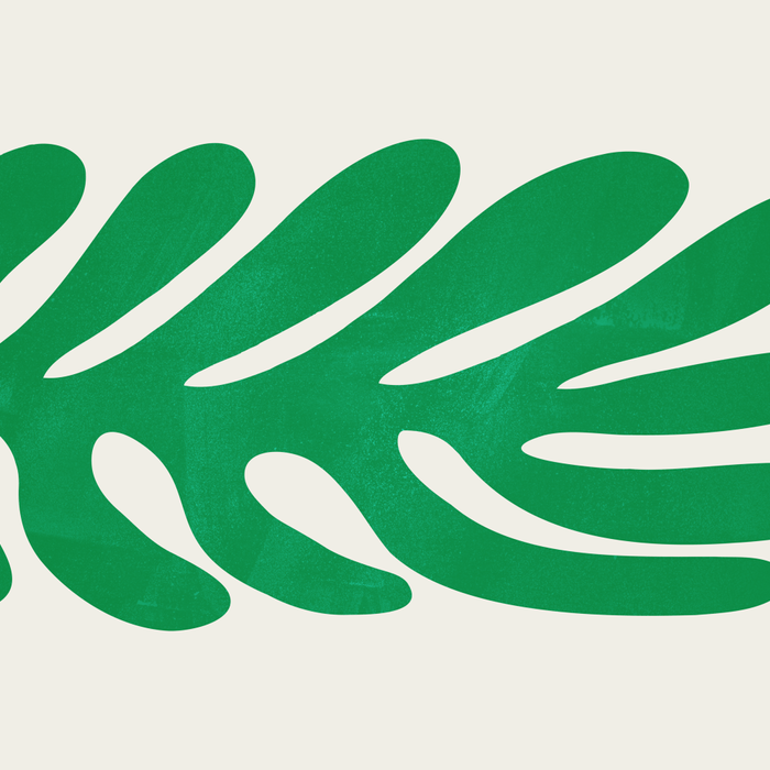 Shamrock: Matisse Color Paper Cutouts 02 Coffee Mug Gallery Image 2