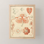 Jellyfish by Ernst Haeckel from his monograph of deep-sea medusae (1879) Mini Art Print Gallery Image 1