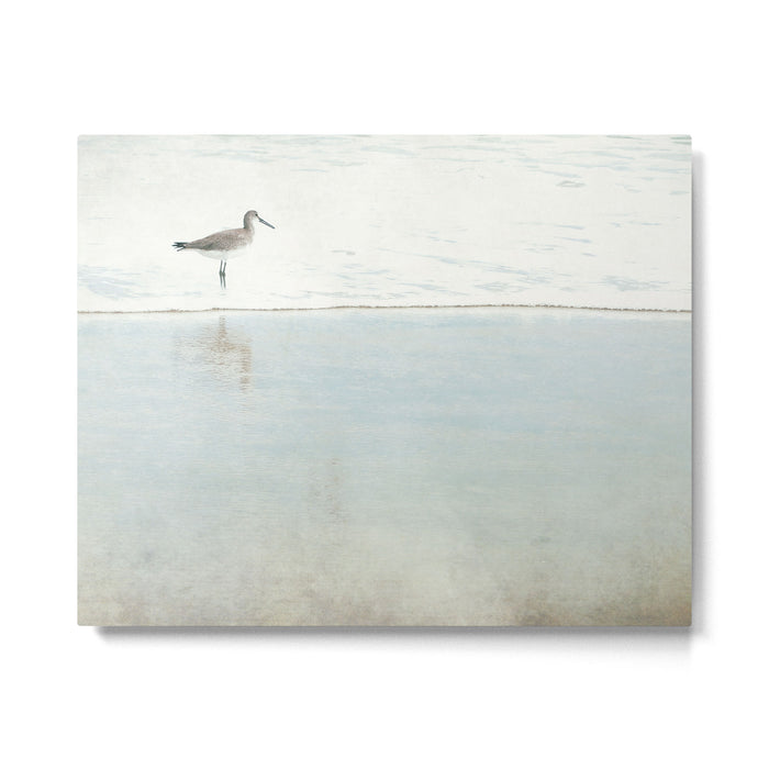 Reflecting Sandpiper Metal Print Gallery Image 1