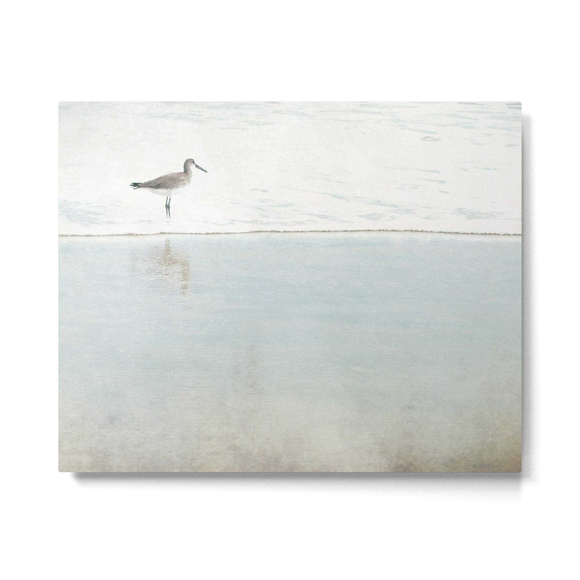 Reflecting Sandpiper Metal Print Gallery Image 4