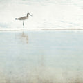 Bella Blue Photography