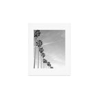 La Jolla Art Print Gallery Image 1