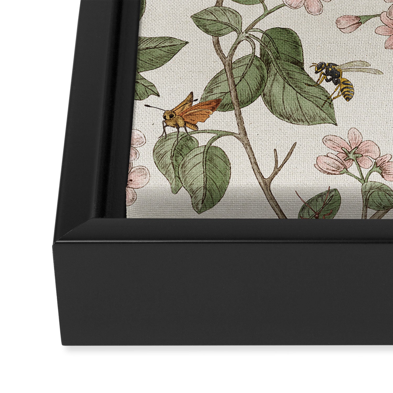 Insects of the Pacific Northwest Framed Canvas Print Gallery Image 3