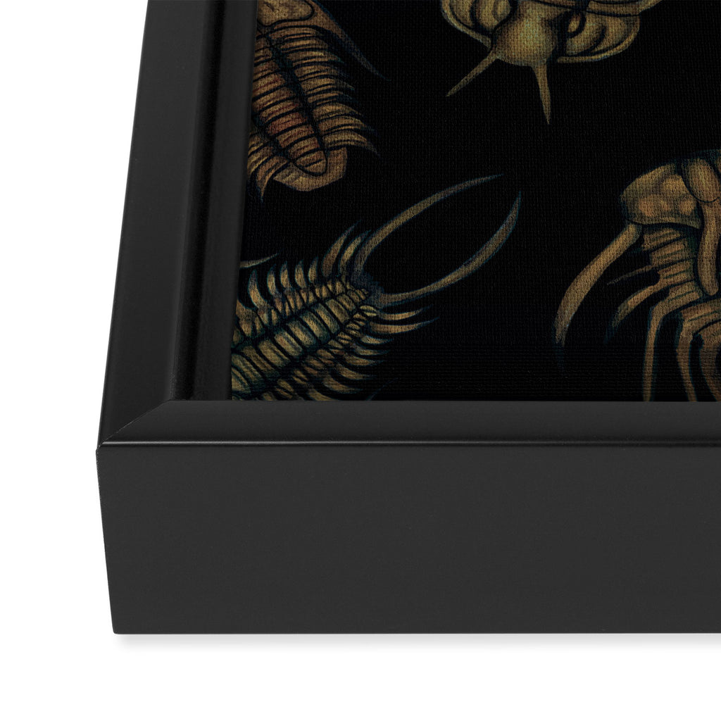 Trilobites - Marine Fossil Pattern Framed Canvas Print Gallery Image 3