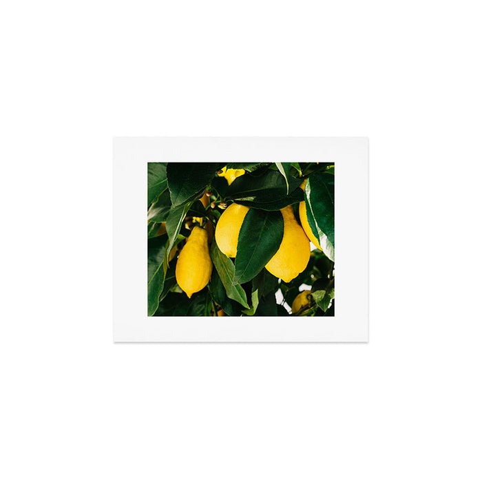 Amalfi Coast Lemons Art Print Gallery Image 1