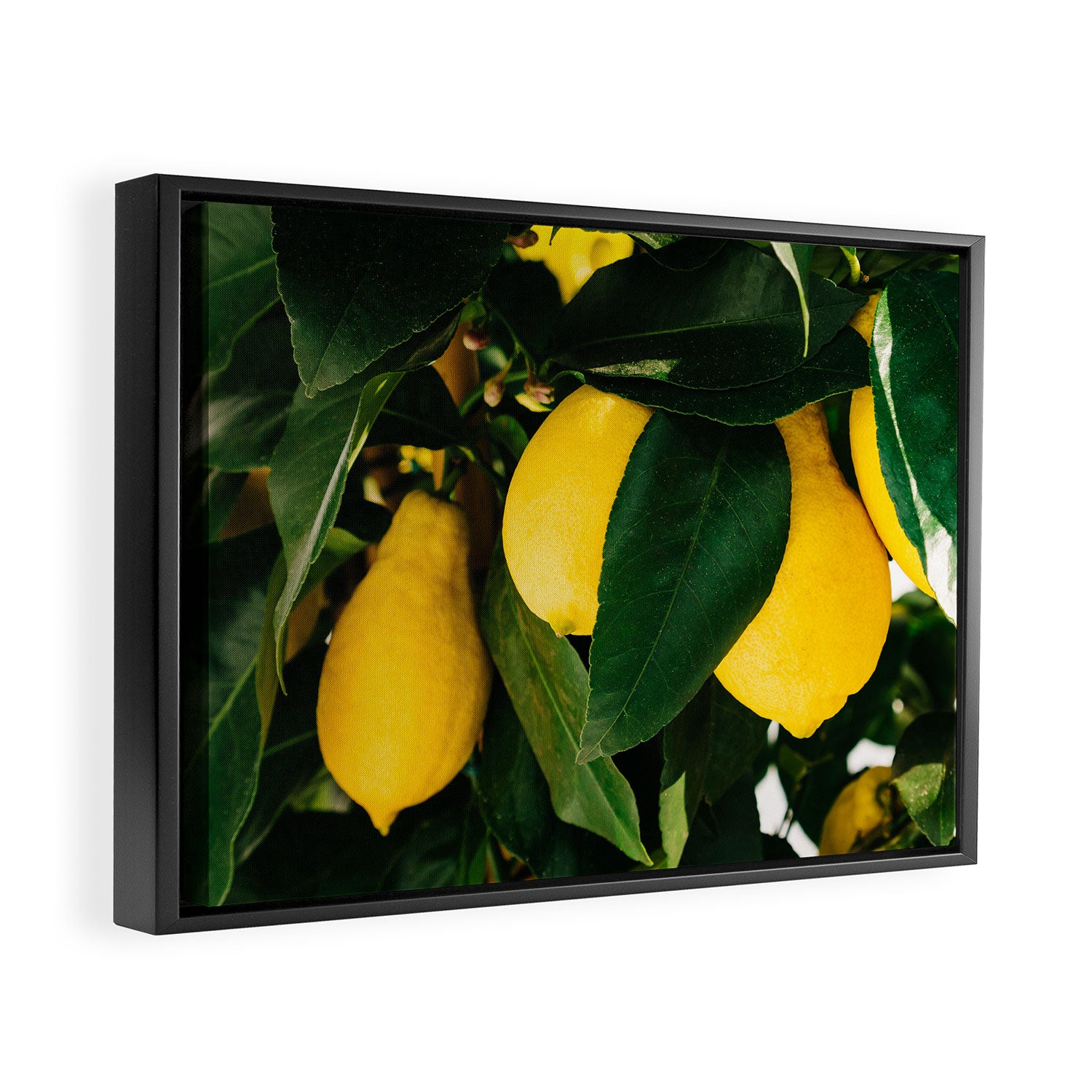Amalfi Coast Lemons Framed Canvas Print Gallery Image 2