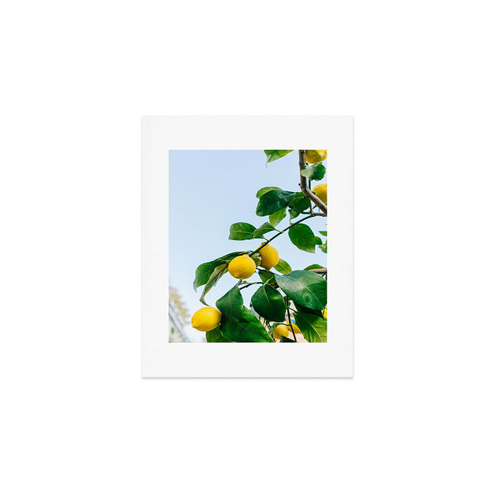 Amalfi Coast Lemons III Art Print Gallery Image 1