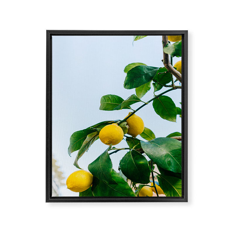 Amalfi Coast Lemons III Framed Canvas Print Gallery Image 6