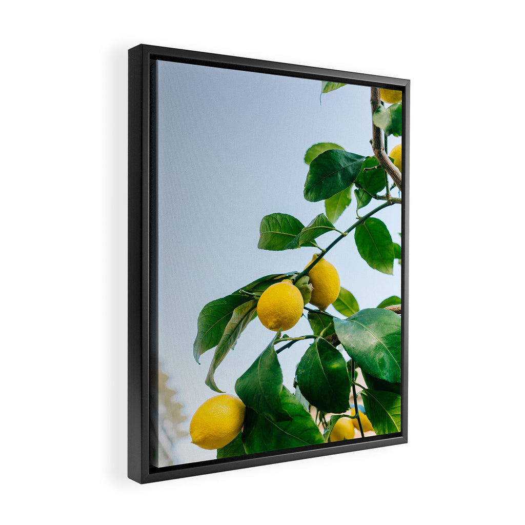 Amalfi Coast Lemons III Framed Canvas Print Gallery Image 2