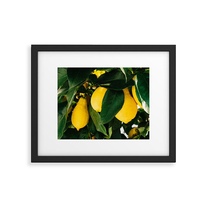Amalfi Coast Lemons Framed Art Print Gallery Image 5