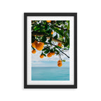 Amalfi Coast Oranges IV Framed Art Print Gallery Image 2