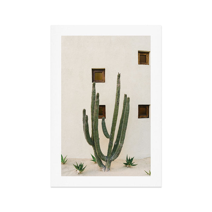 Cabo Cactus IX Art Print Gallery Image 1