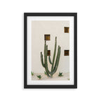 Cabo Cactus IX Framed Art Print Gallery Image 2