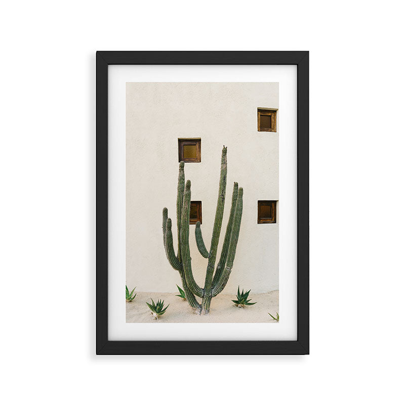 Cabo Cactus IX Framed Art Print Gallery Image 2