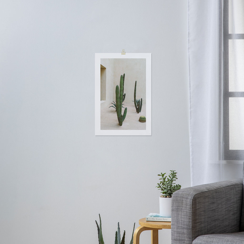 Cabo Cactus VI Art Print Gallery Image 3