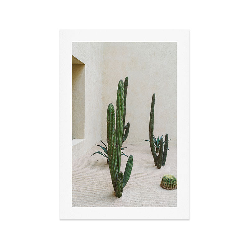 Cabo Cactus VI Art Print Gallery Image 1
