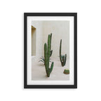 Cabo Cactus VI Framed Art Print Gallery Image 2