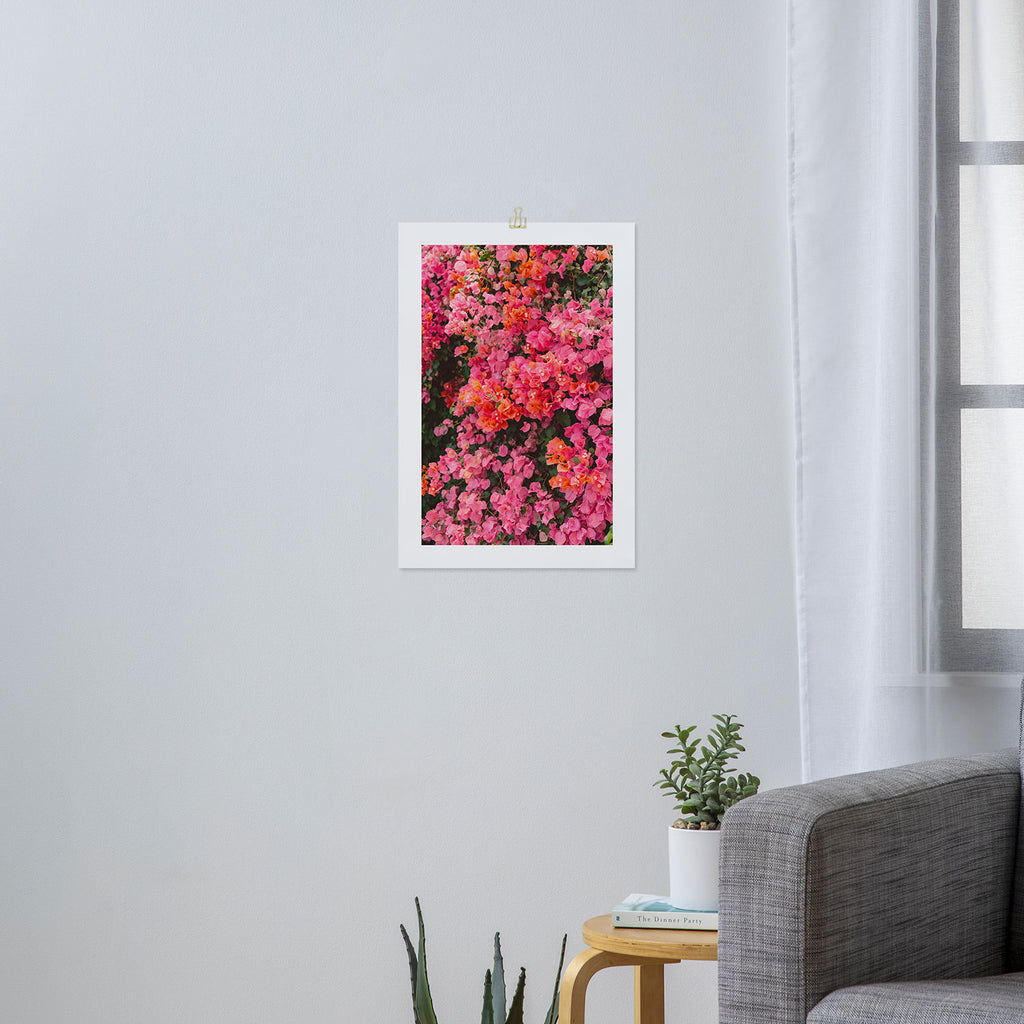 California Blooms Art Print Gallery Image 3