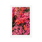 California Blooms Art Print Gallery Image 1