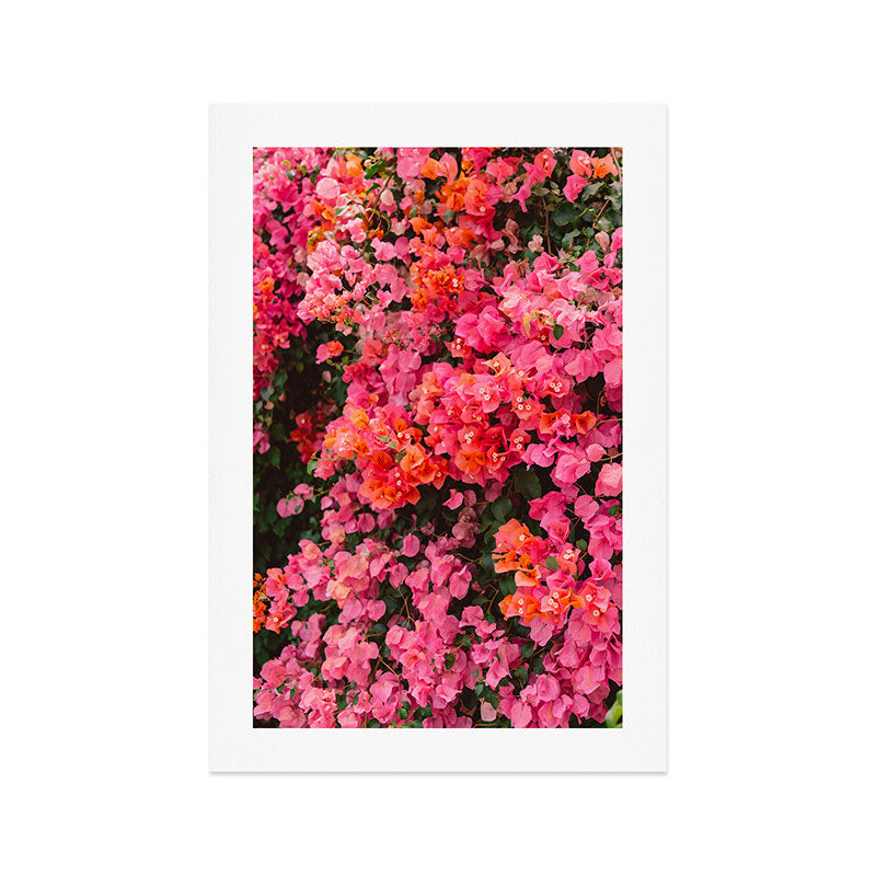 California Blooms Art Print Gallery Image 1